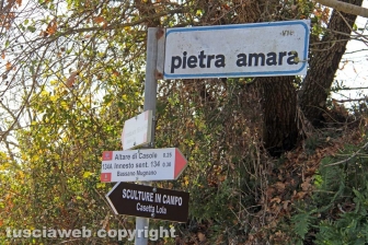La forma della città