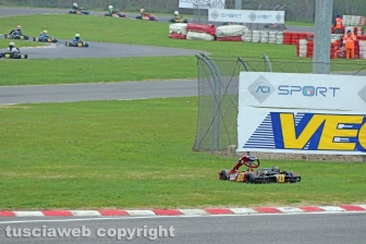 La gara dei campionati italiani di karting