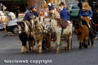 La giornata della benedizione degli animali