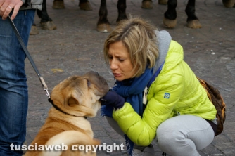 La giornata della benedizione degli animali