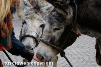 La giornata della benedizione degli animali