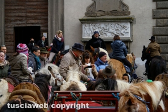 La giornata della benedizione degli animali