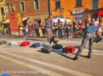 Soriano nel Cimino - La guardia di finanza con le unità cinofile alla manifestazione “Divertiamoci e impariamo dagli uomini in divisa” - La simulazione dei controlli antidroga