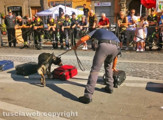 Soriano nel Cimino - La guardia di finanza con le unità cinofile alla manifestazione “Divertiamoci e impariamo dagli uomini in divisa” - La simulazione dei controlli antidroga