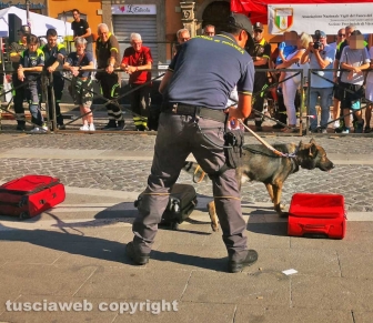 Soriano nel Cimino - La guardia di finanza con le unità cinofile alla manifestazione “Divertiamoci e impariamo dagli uomini in divisa” - La simulazione dei controlli antidroga