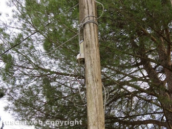 La linea telefonica caduta a Cimacolle