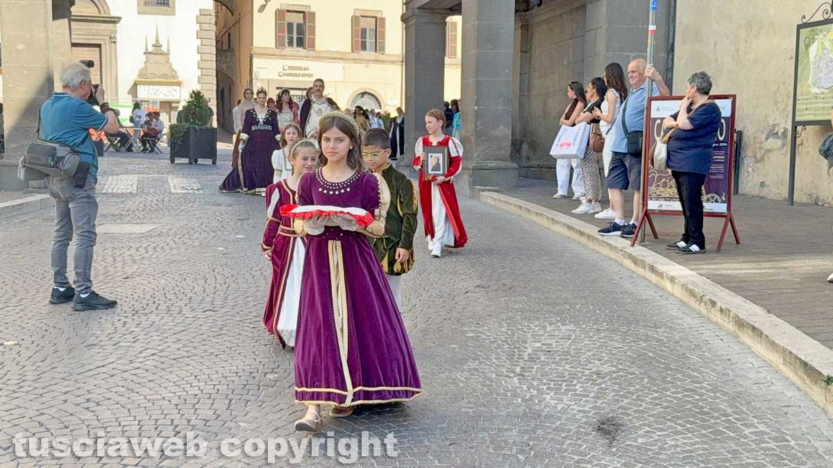 Viterbo - Il trasporto dell'immagine della Madonna Liberatrice con un baldacchino