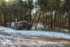 La magia della neve