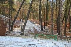 La magia della neve