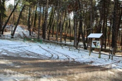 La magia della neve