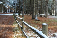 La magia della neve