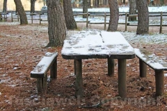 La magia della neve