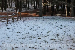 La magia della neve