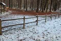 La magia della neve