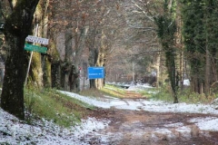 La magia della neve