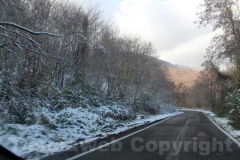 La magia della neve