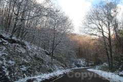 La magia della neve