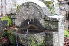 La magia della neve