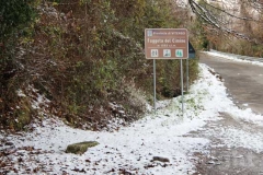 La magia della neve