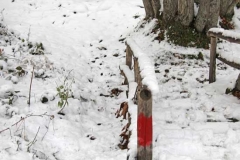 La Faggeta - Il sasso Naticarello