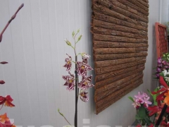 La magia delle orchidee - La mostra mercato da Pugliesi a Vignanello