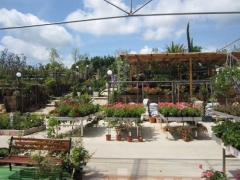 Non solo orchidee - Pugliesi a Vignanello