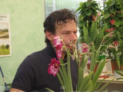 Non solo orchidee - Pugliesi a Vignanello