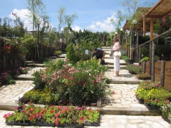 Non solo orchidee - Pugliesi a Vignanello