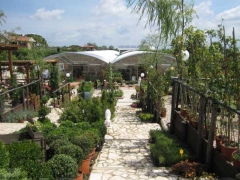 Non solo orchidee - Pugliesi a Vignanello