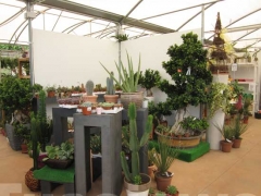 Non solo orchidee - Pugliesi a Vignanello