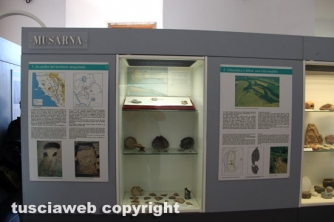 Museo nazionale etrusco