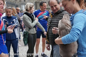 La manifestazione CorriaPratoGiardino