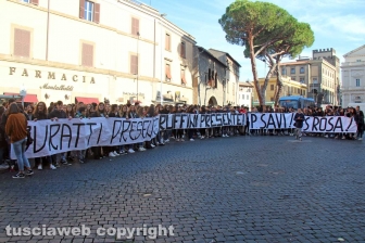 La manifestazione degli studenti