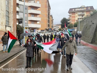 Viterbo - La manifestazione pro Palestina e contro il 41 bis