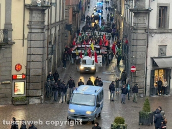 Viterbo - La manifestazione pro Palestina e contro il 41 bis