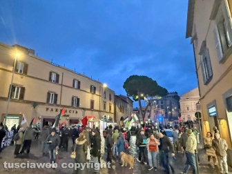 La manifestazione pro Palestina