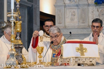 Viterbo - La messa solenne in onore della Madonna della Quercia - Il cardinale Marcello Semeraro