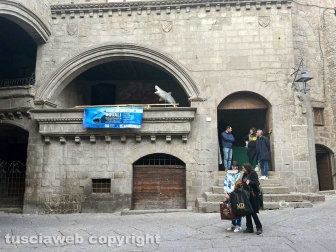 La mostra sugli squali