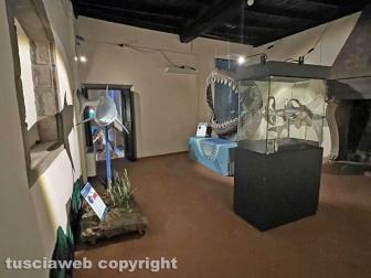 La mostra sugli squali