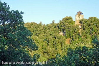 La necropoli di Castel d'Asso
