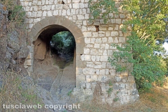 La necropoli di Castel d'Asso