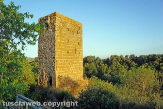 La necropoli di Castel d'Asso