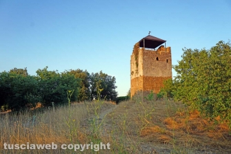 La necropoli di Castel d'Asso