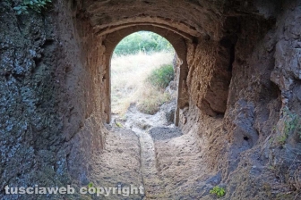 La necropoli di Castel d'Asso