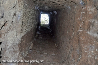 La necropoli di Poggio Giudio