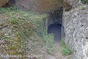 La necropoli