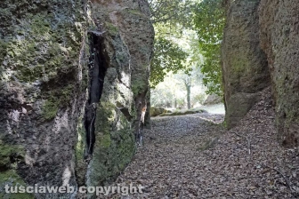 La necropoli