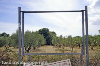 La necropoli
