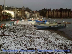 Il lago di Bolsena a Marta - Danilo Piovani
