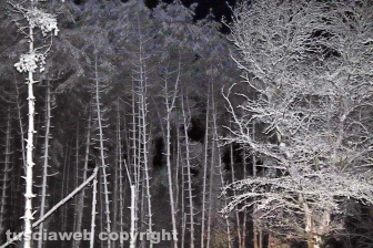 La neve di notte sui Cimini